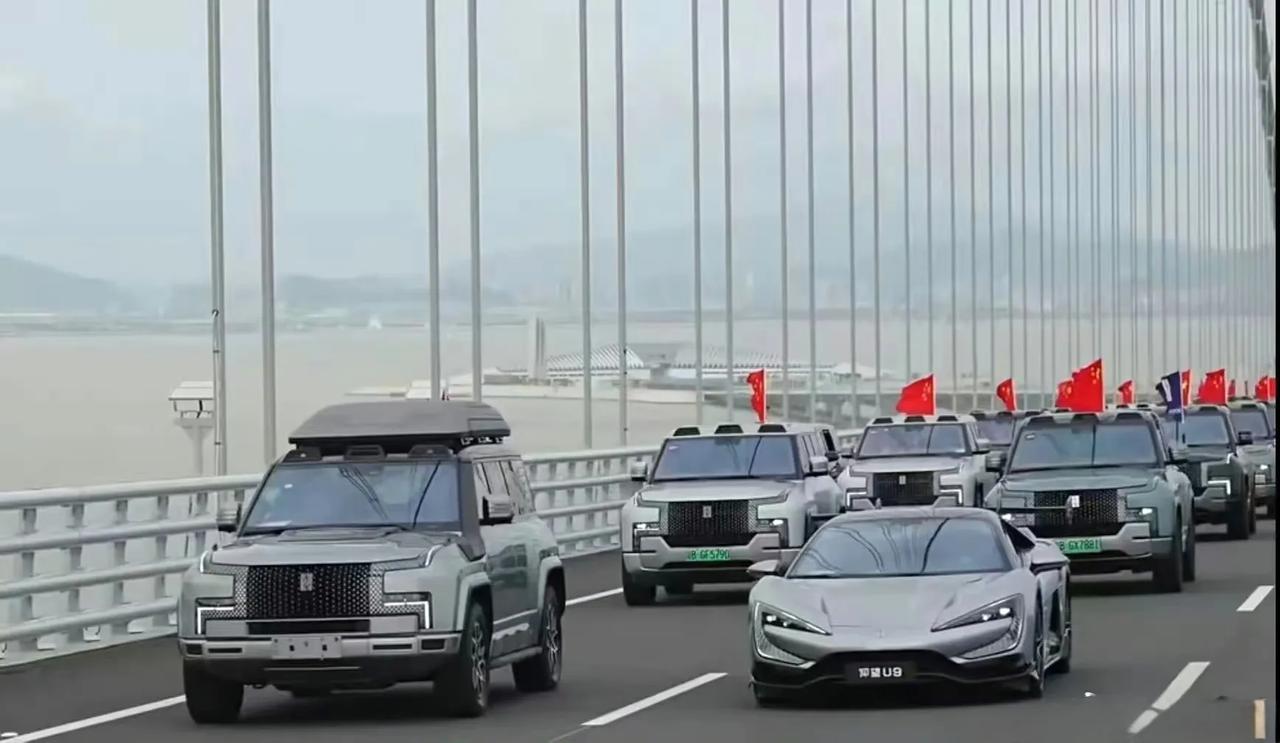 仰望U8车主玩疯了：2024年共原地掉头17万次