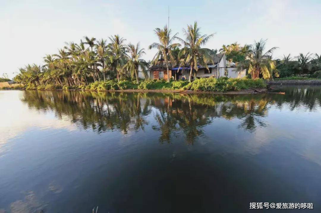 徐闻港理想汽车扎堆坐船 顾家男人都喜欢开理想去三亚