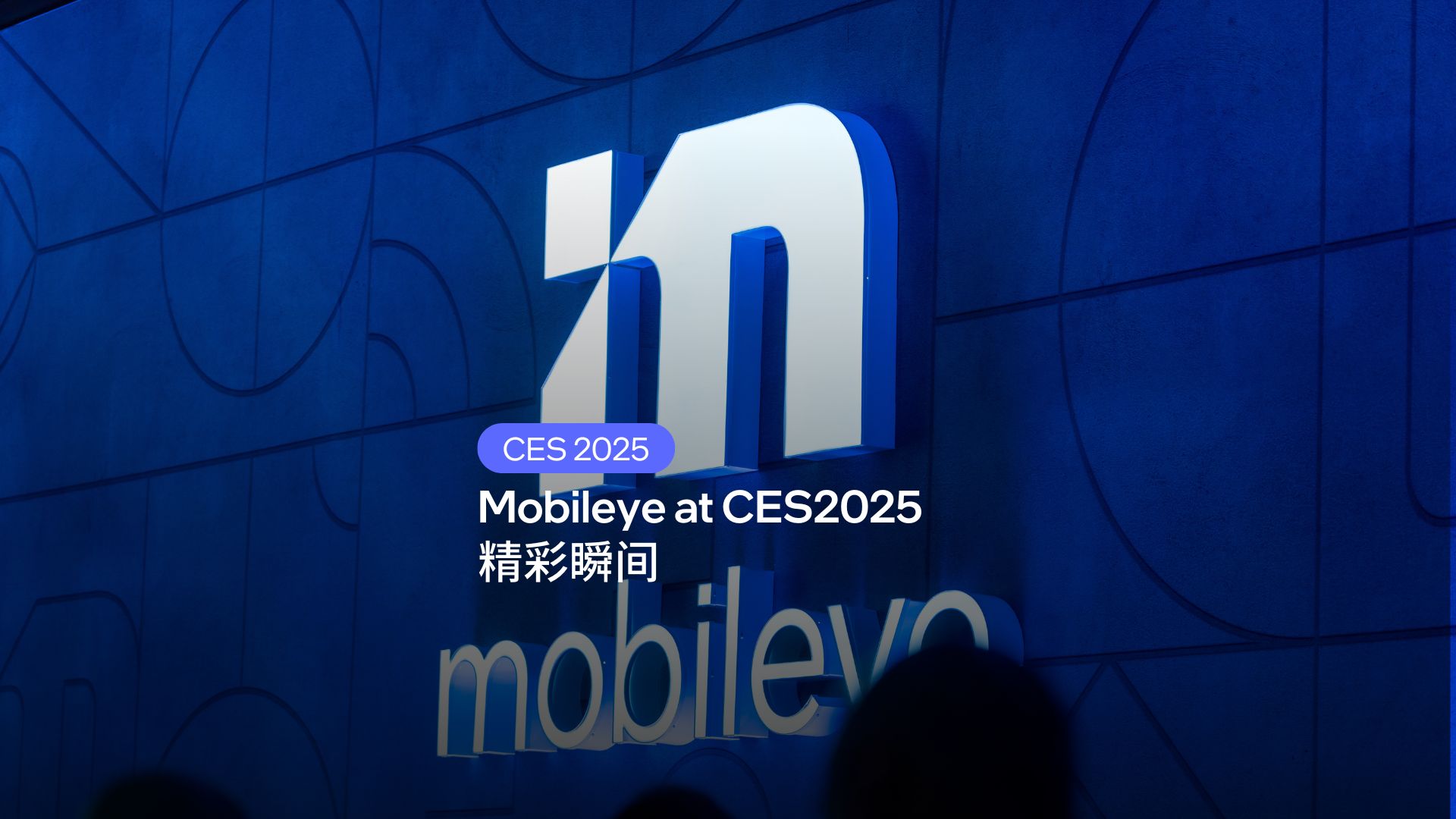 CES 2025：Mobileye CEO Amnon Shashua教授畅谈未来出行变革
