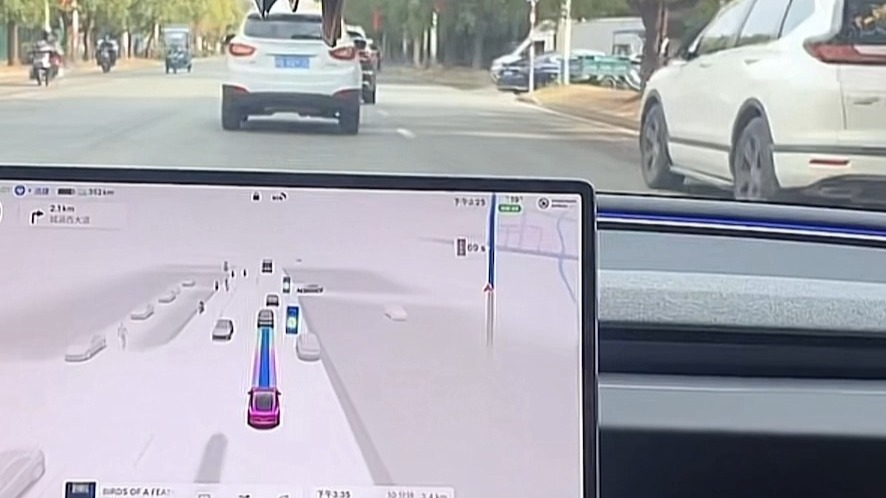 莆田交警：第一批体验特斯拉FSD的车主被罚扣6分