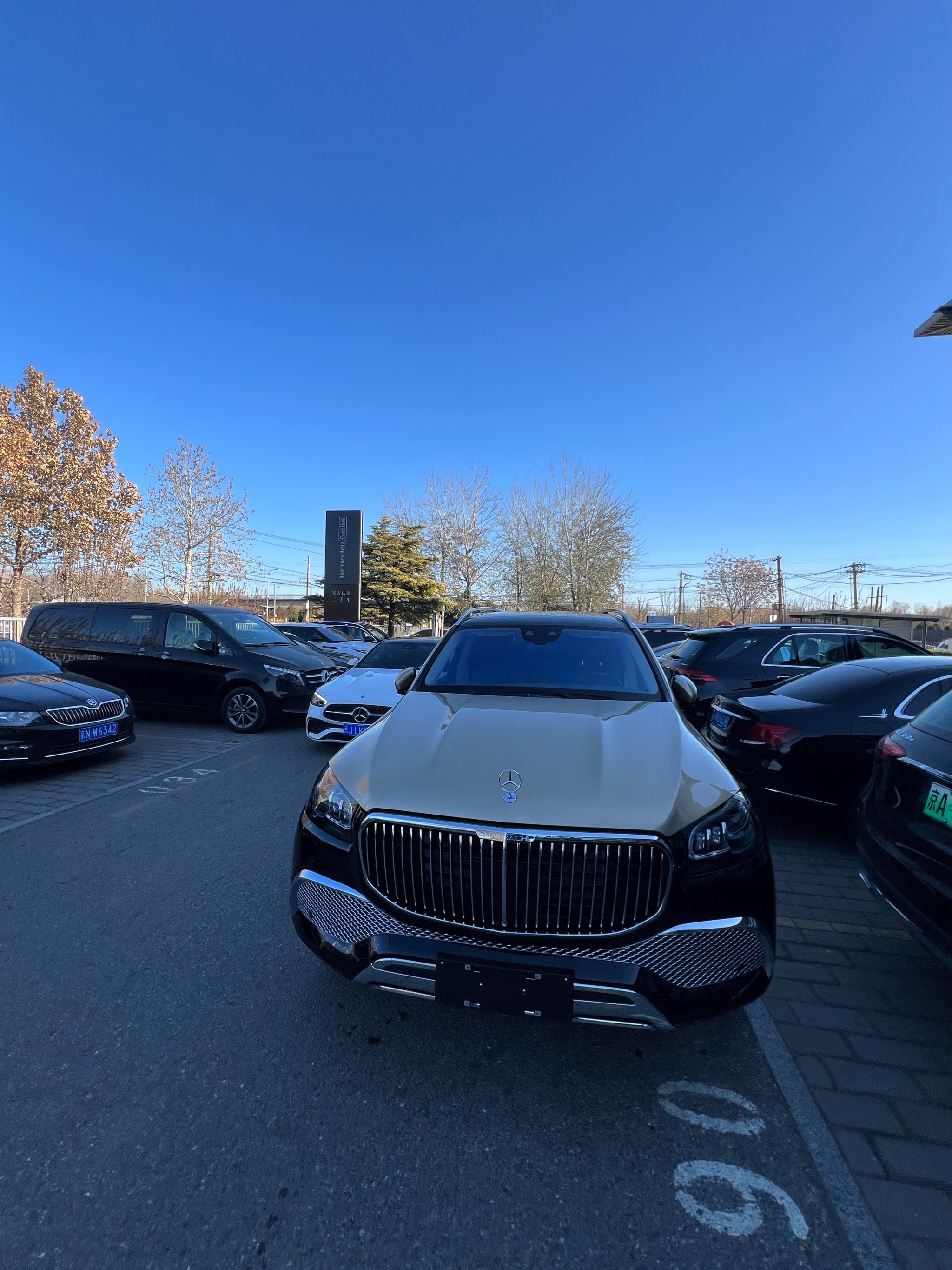 成都奔驰迈巴赫GLS级欧版团购钜惠50万 欢迎前来试驾