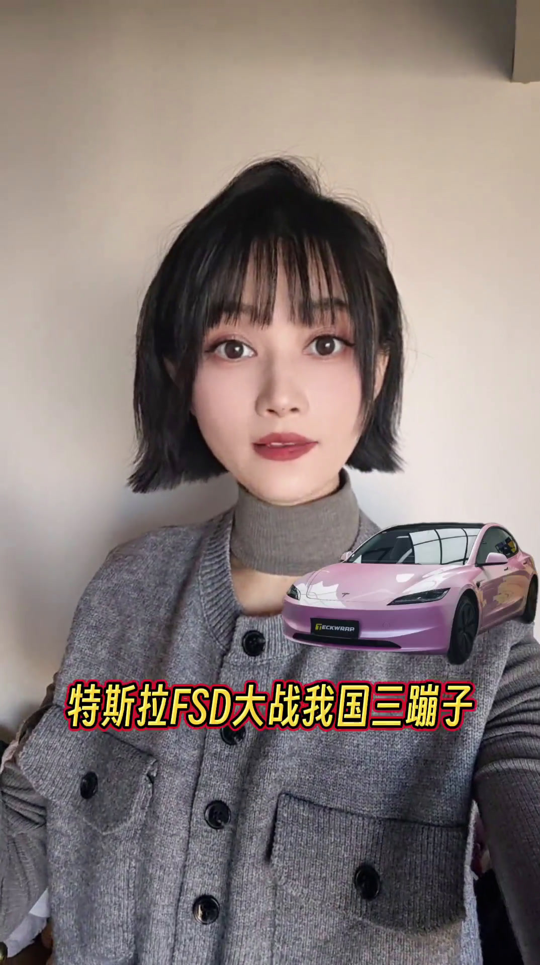 特斯拉FSD挑战国内泥巴路 车主：表现真能封神