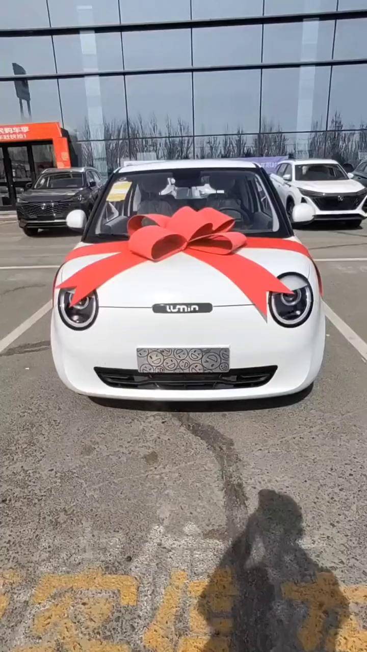 补贴后3.89万元！A0级小车长安Lumin萌宝版上市：限量999台