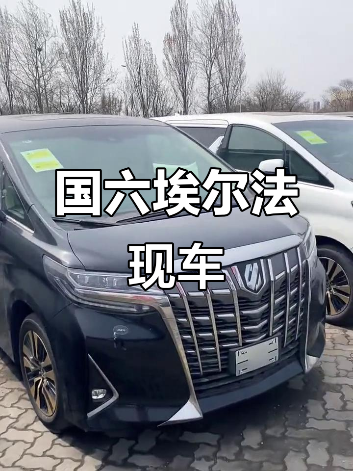 购平行进口埃尔法享3.5万优惠 欢迎试乘试驾