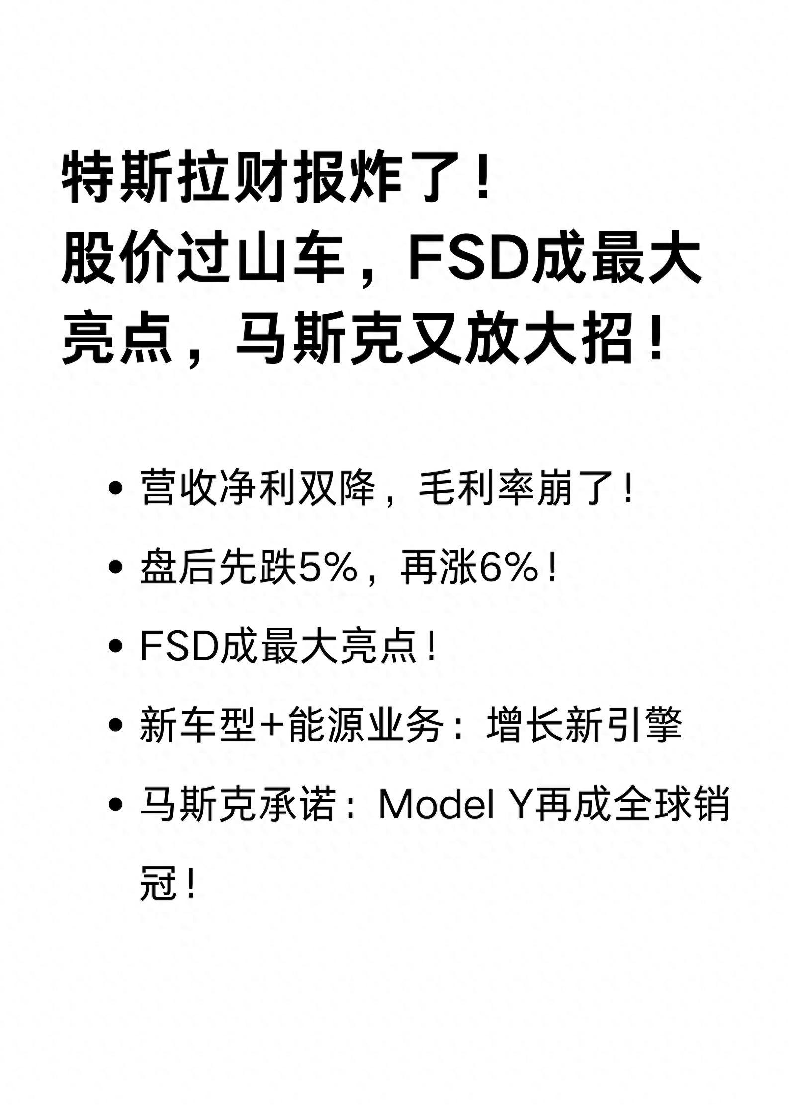 17名车主指控特斯拉FSD消费欺诈：6.4万买的软件根本无法自动驾驶