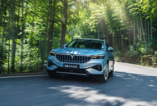 岚图汽车CEO：内卷之下没有赢家 更没有未来